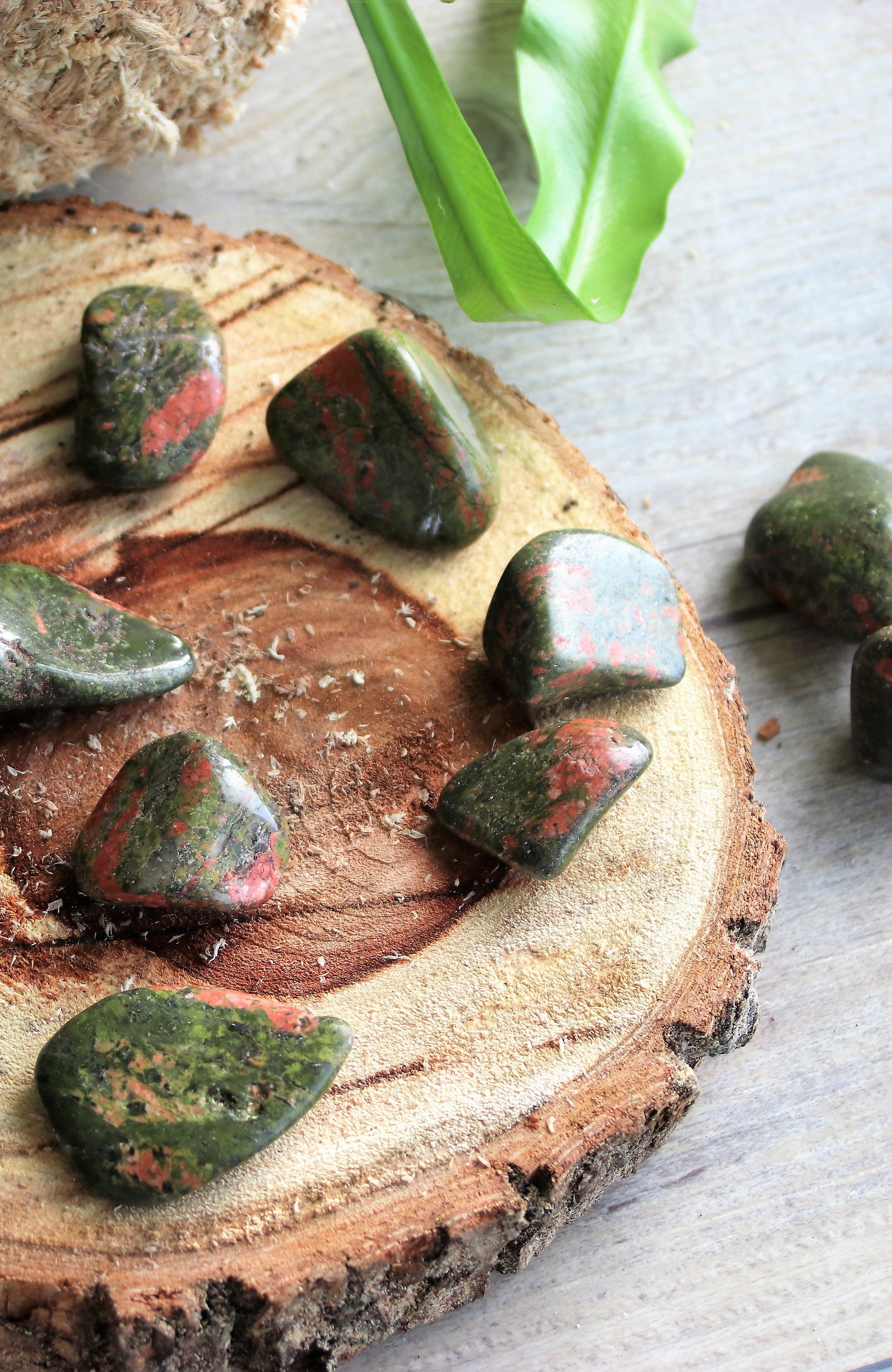 Unakite Tumbled Stone